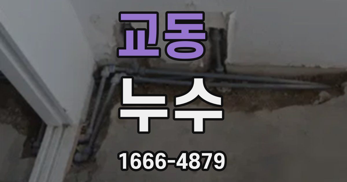 교동 누수