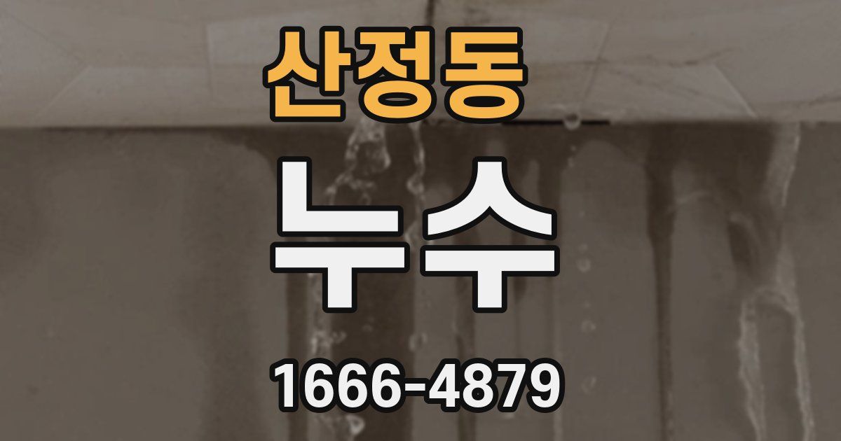 산정동 누수