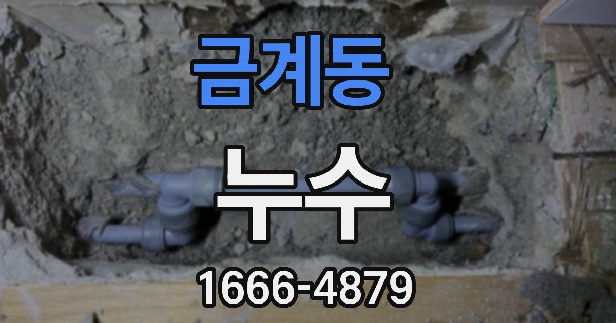 금계동 누수