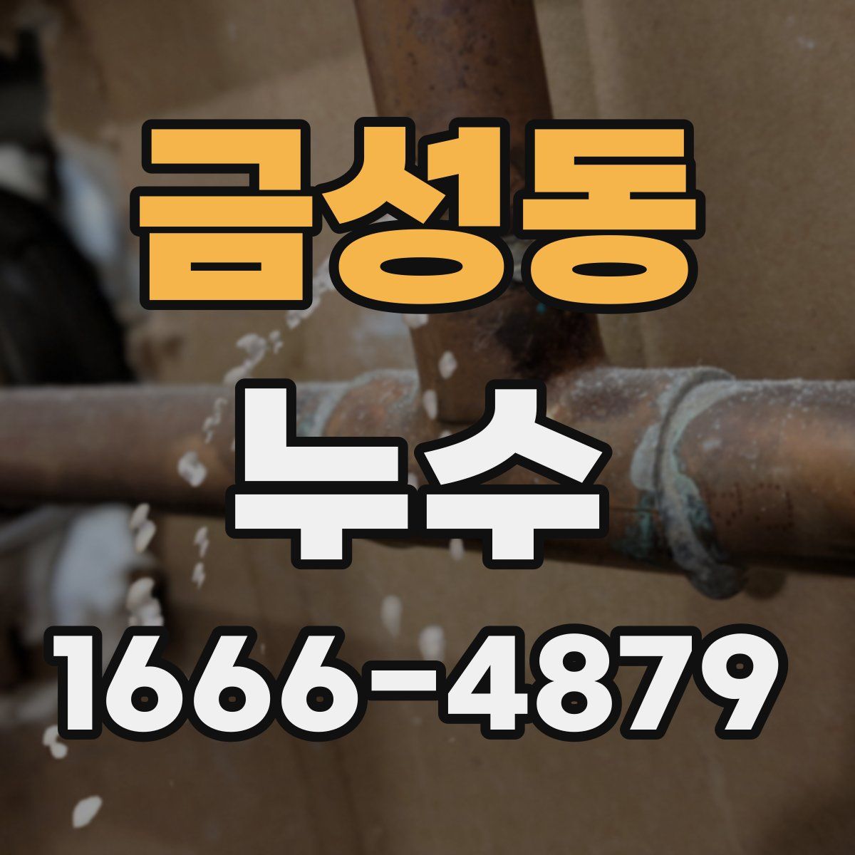 금성동 누수