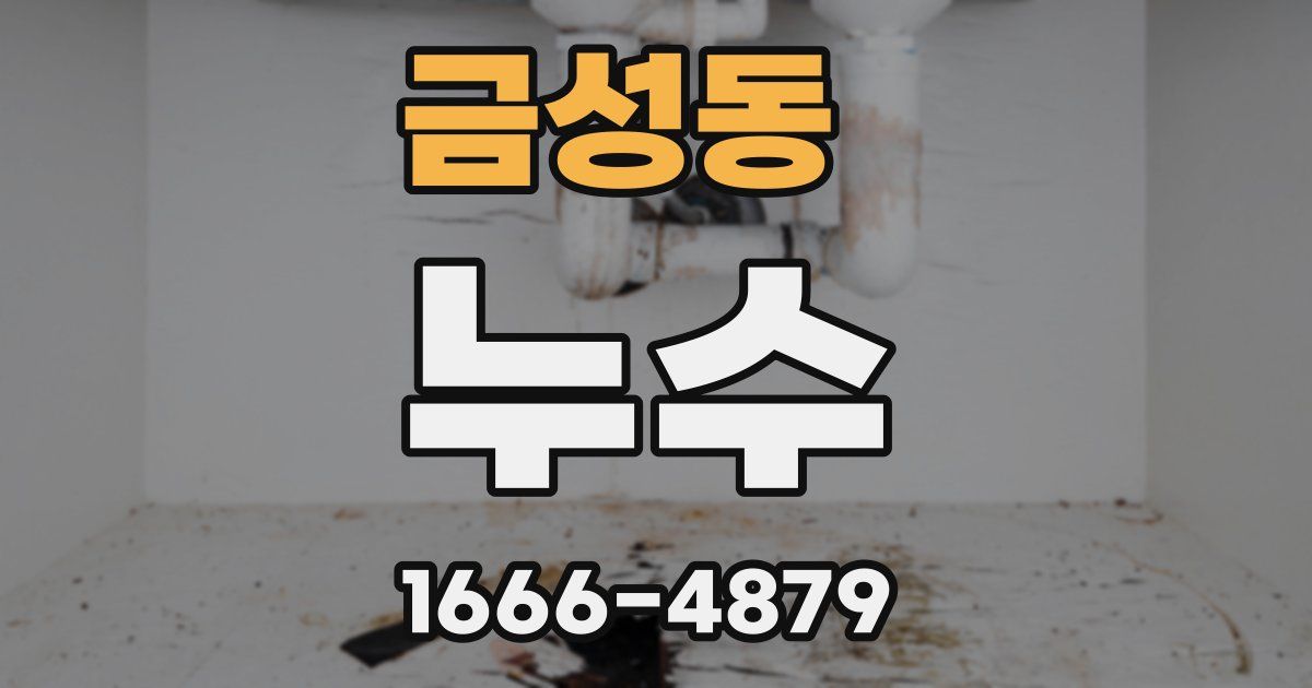 금성동 누수