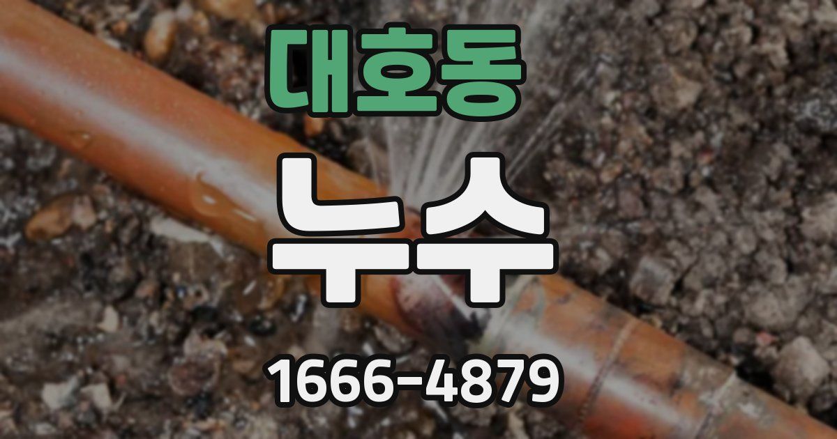 대호동 누수