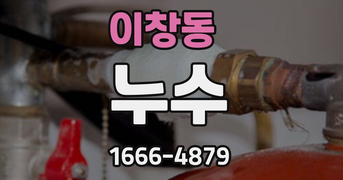 이창동 누수