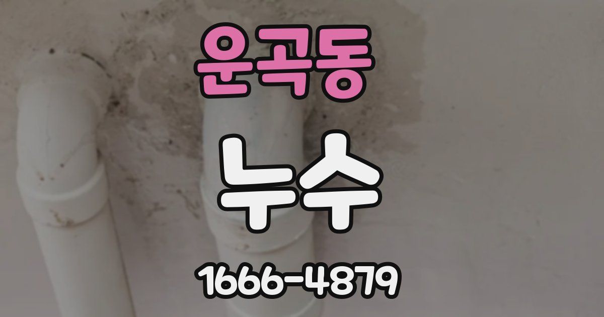 운곡동 누수