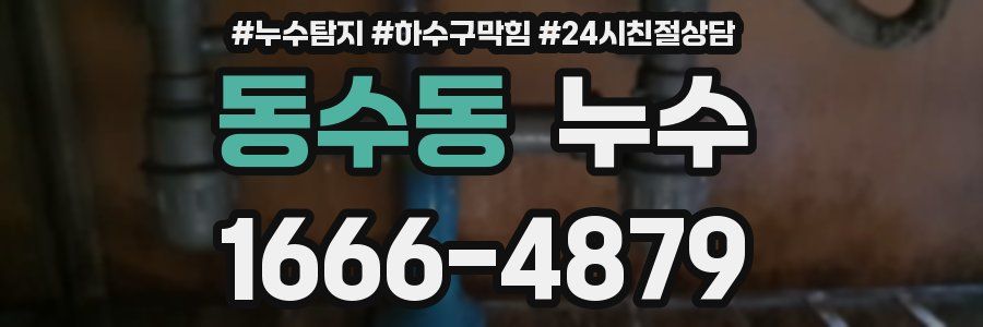 동수동 누수