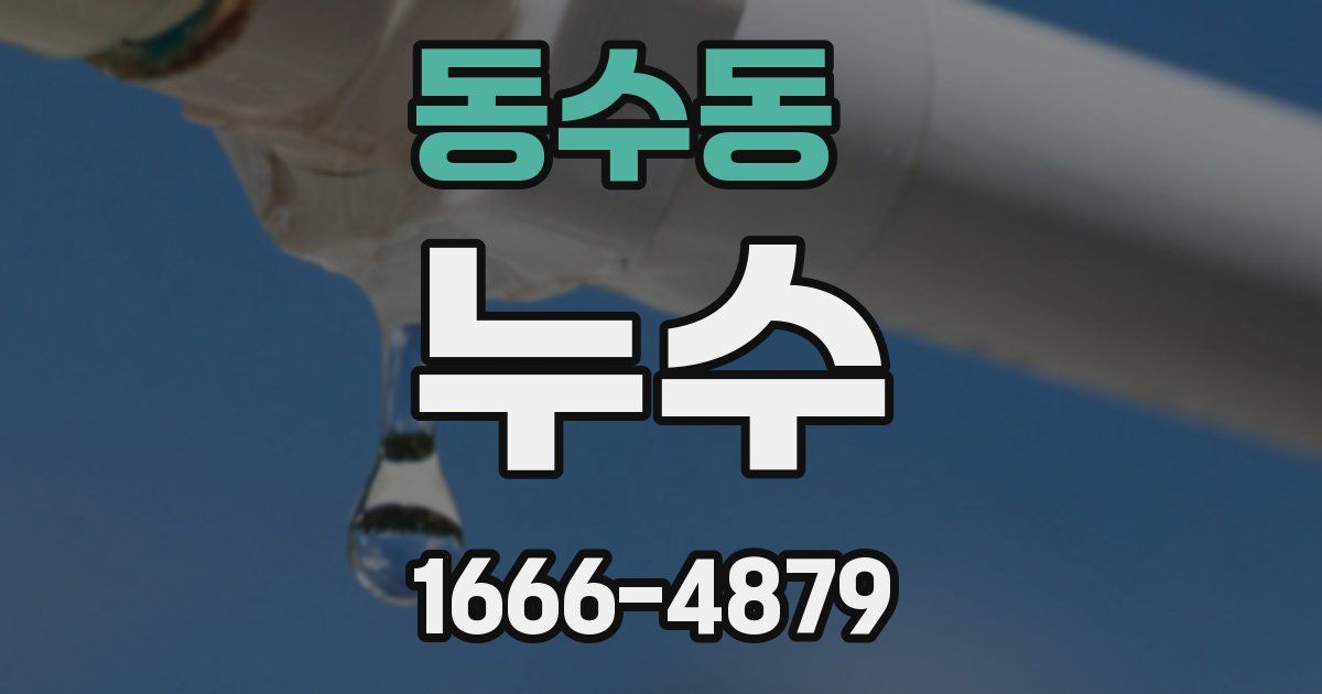 동수동 누수