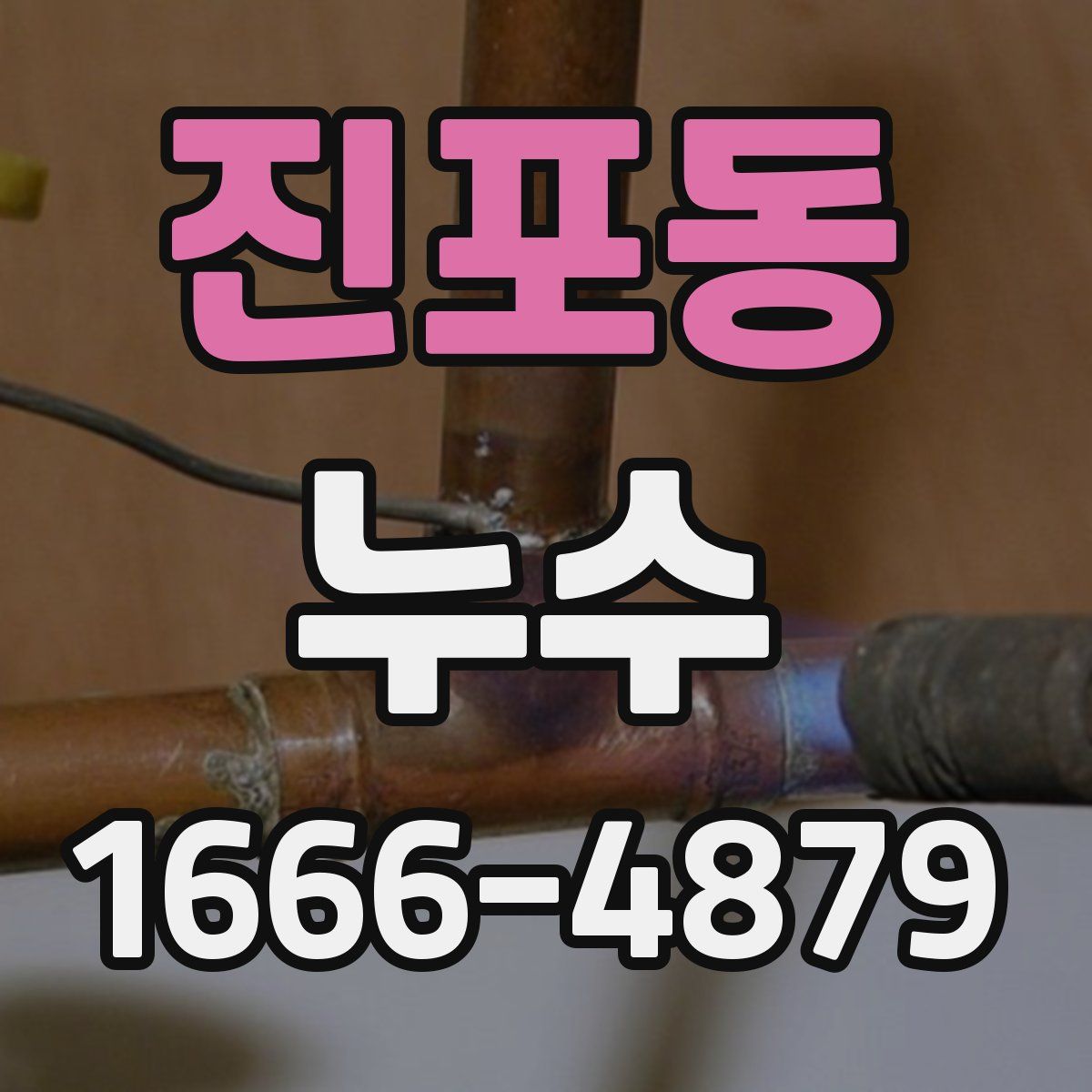 진포동 누수