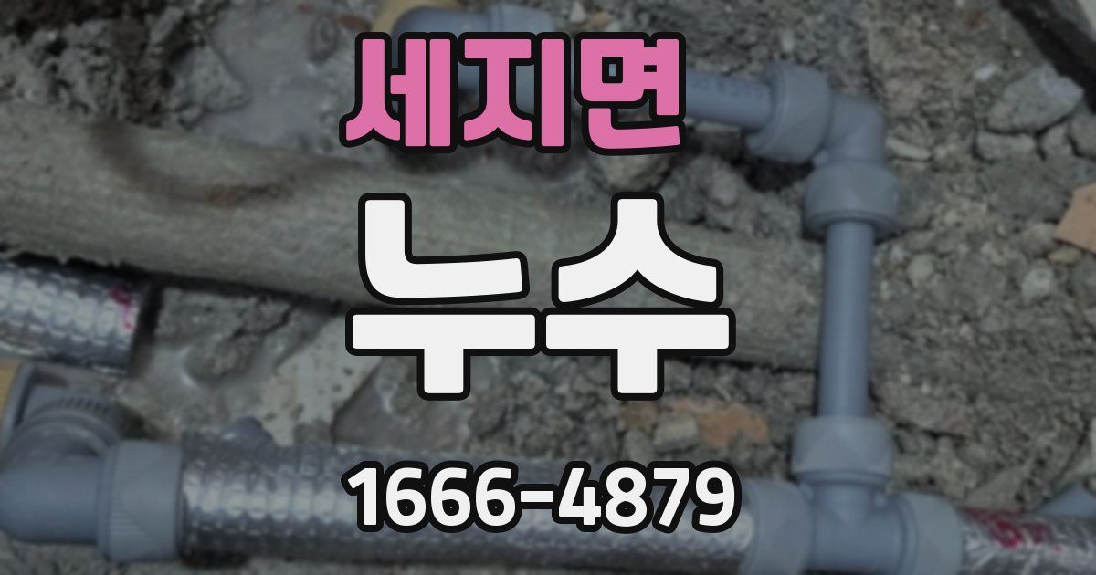 세지면 누수