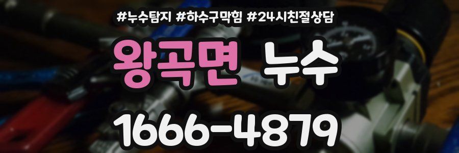 왕곡면 누수