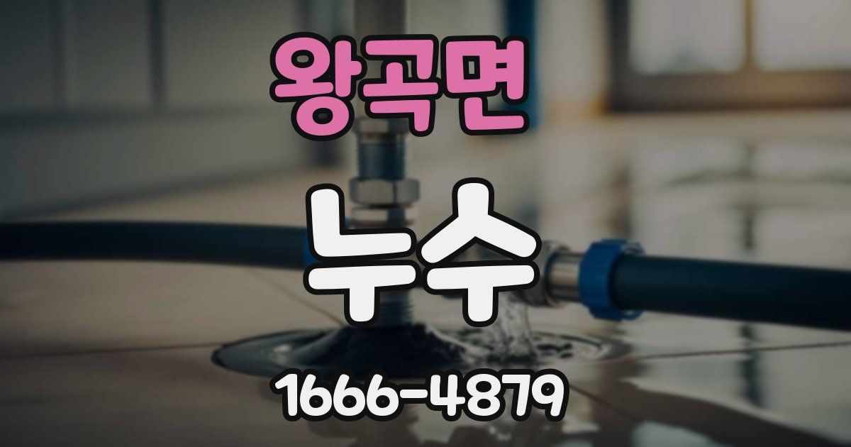 왕곡면 누수