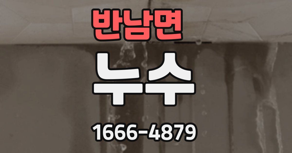 반남면 누수