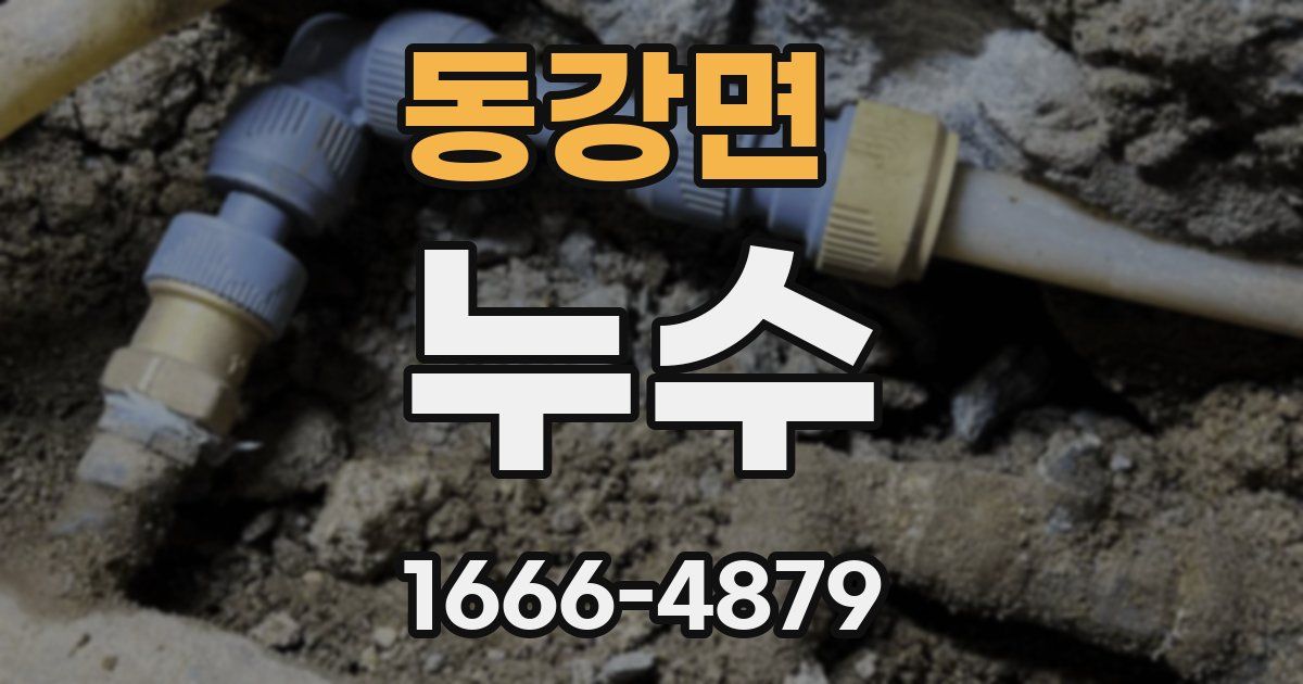 동강면 누수