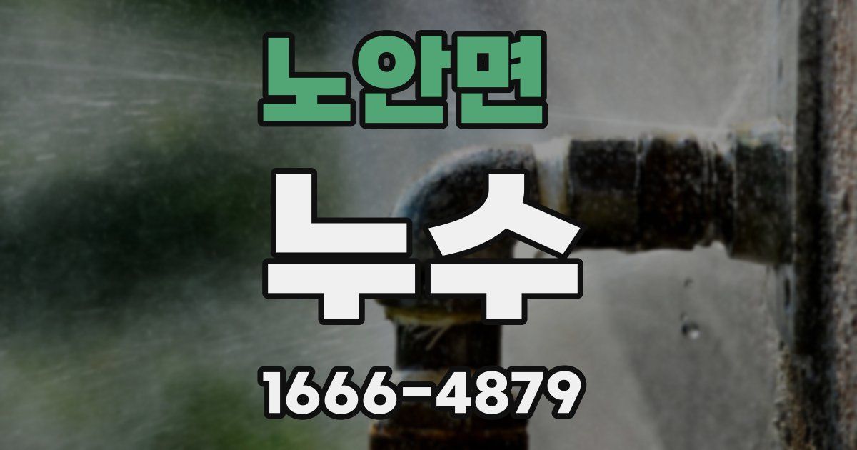 노안면 누수