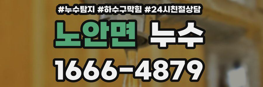 노안면 누수