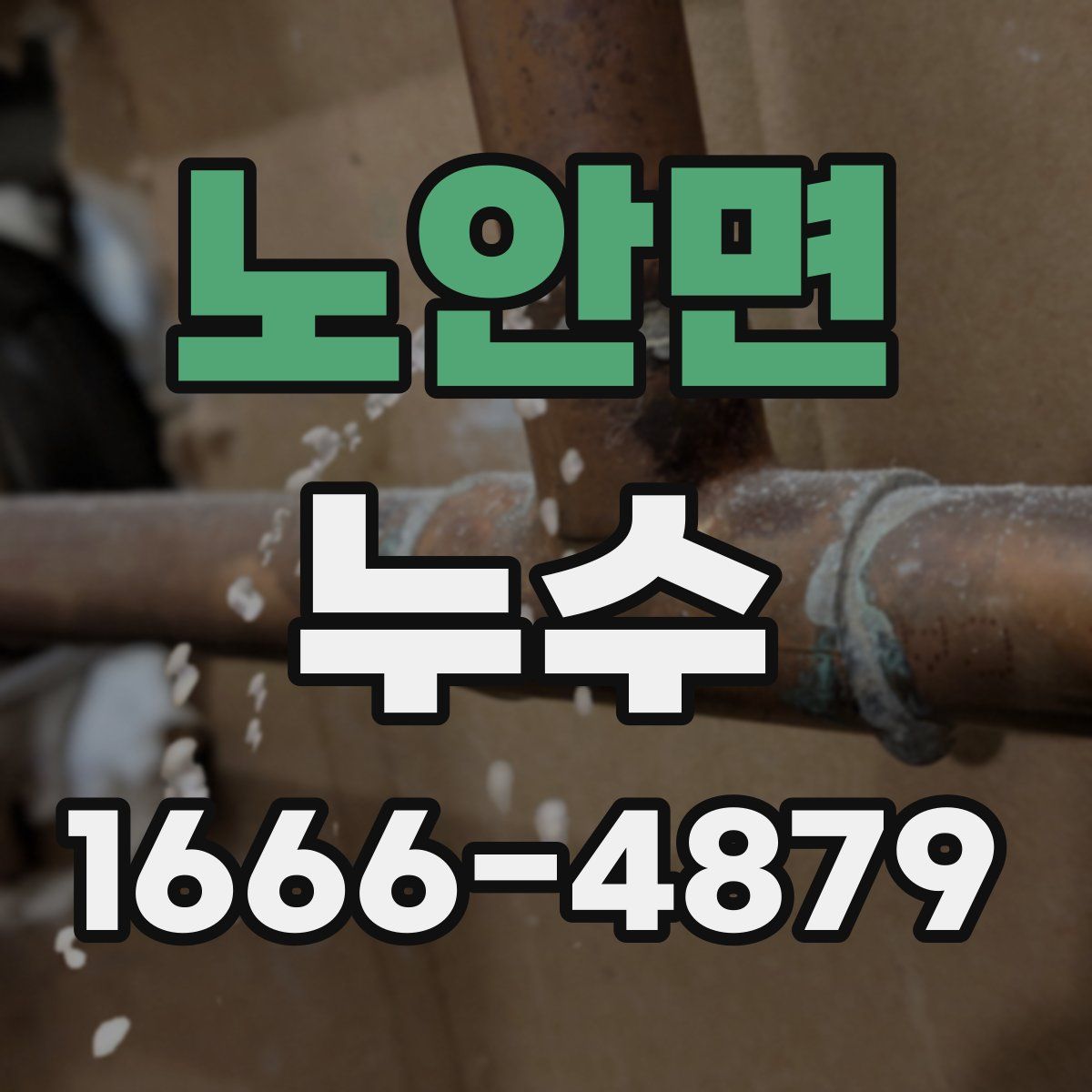 노안면 누수