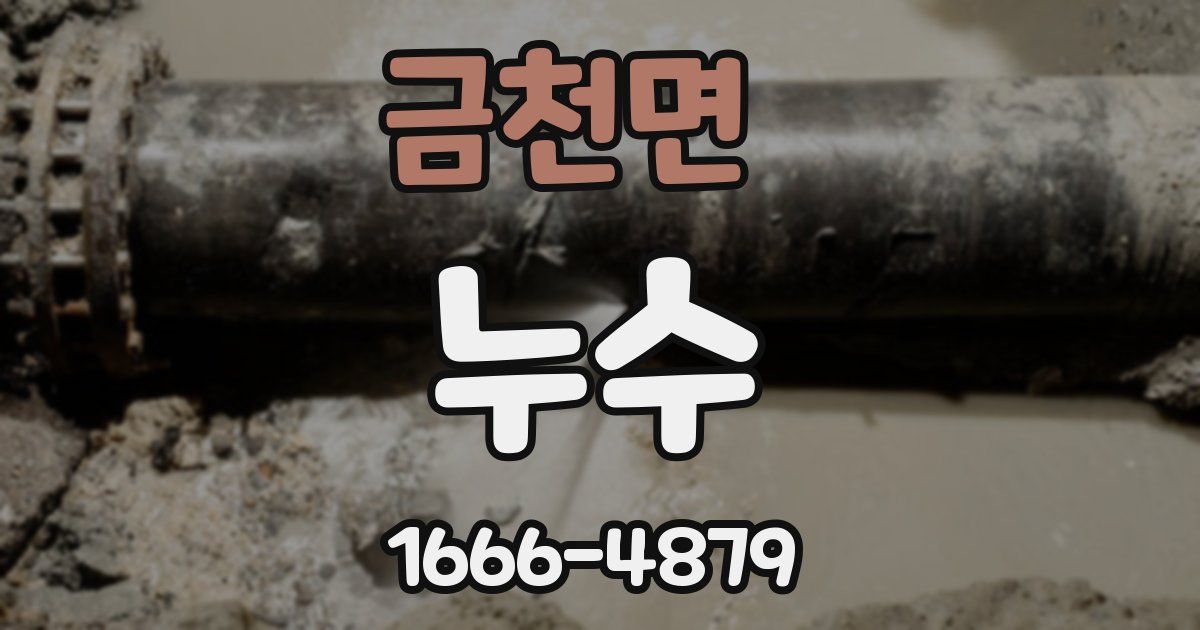 금천면 누수
