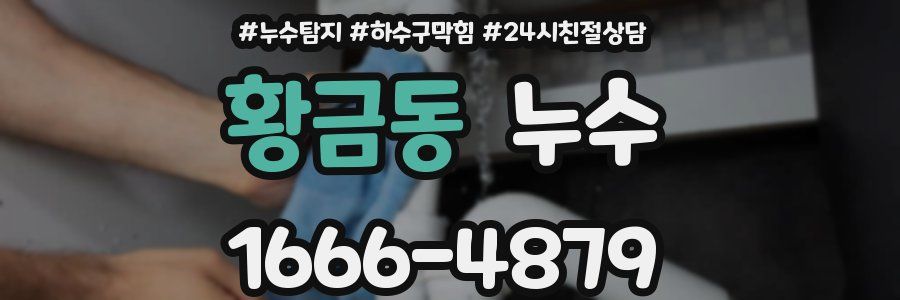 황금동 누수