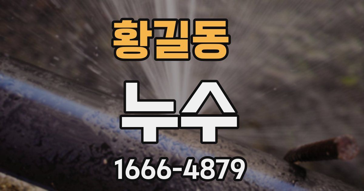 황길동 누수