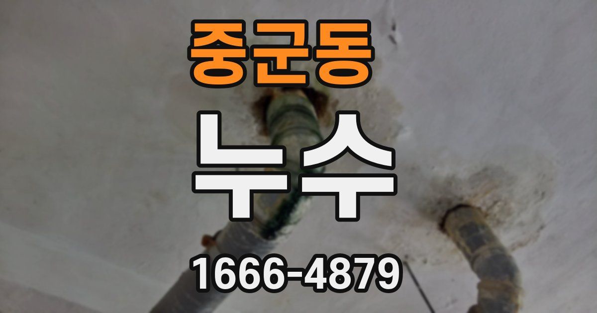 중군동 누수