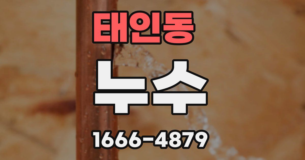 태인동 누수