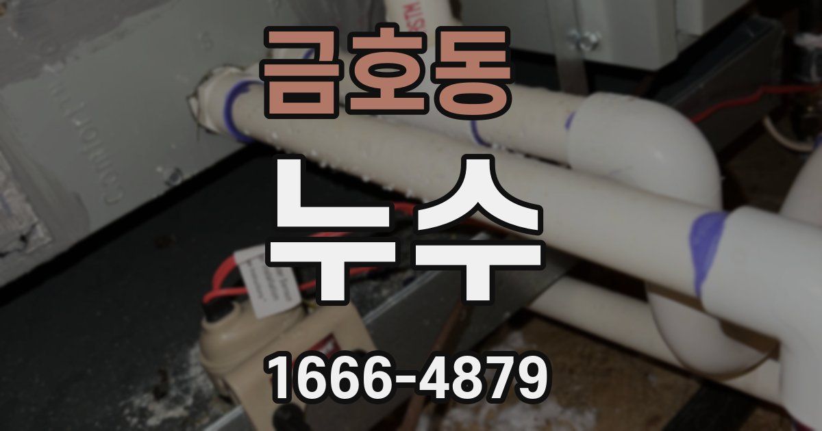 금호동 누수