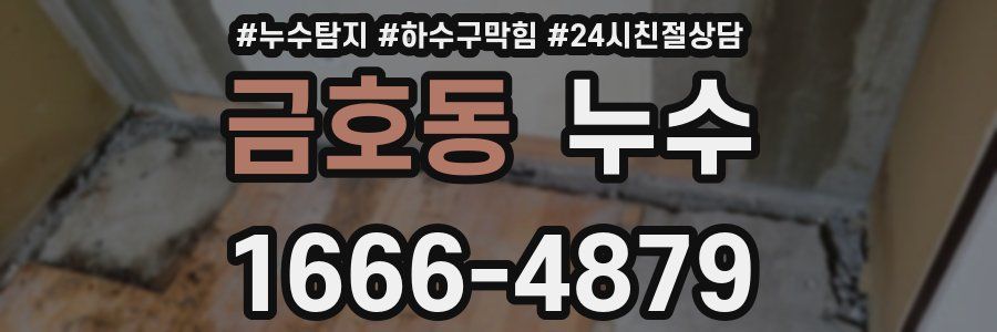 금호동 누수