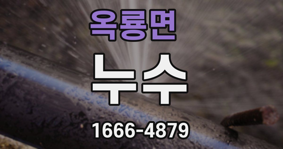 옥룡면 누수