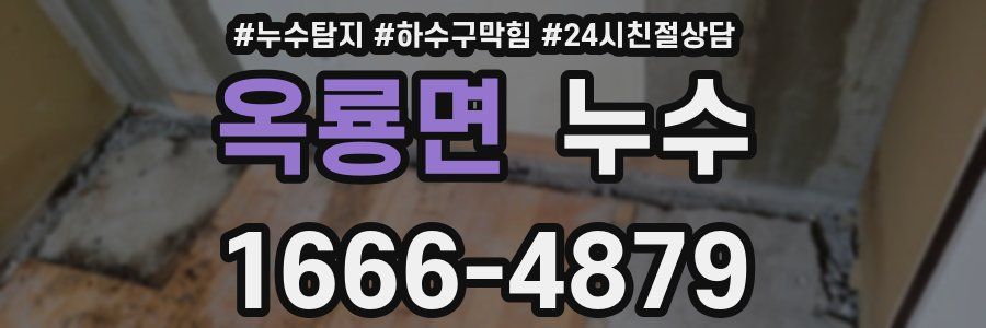 옥룡면 누수