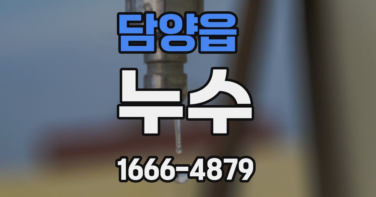 담양읍 누수
