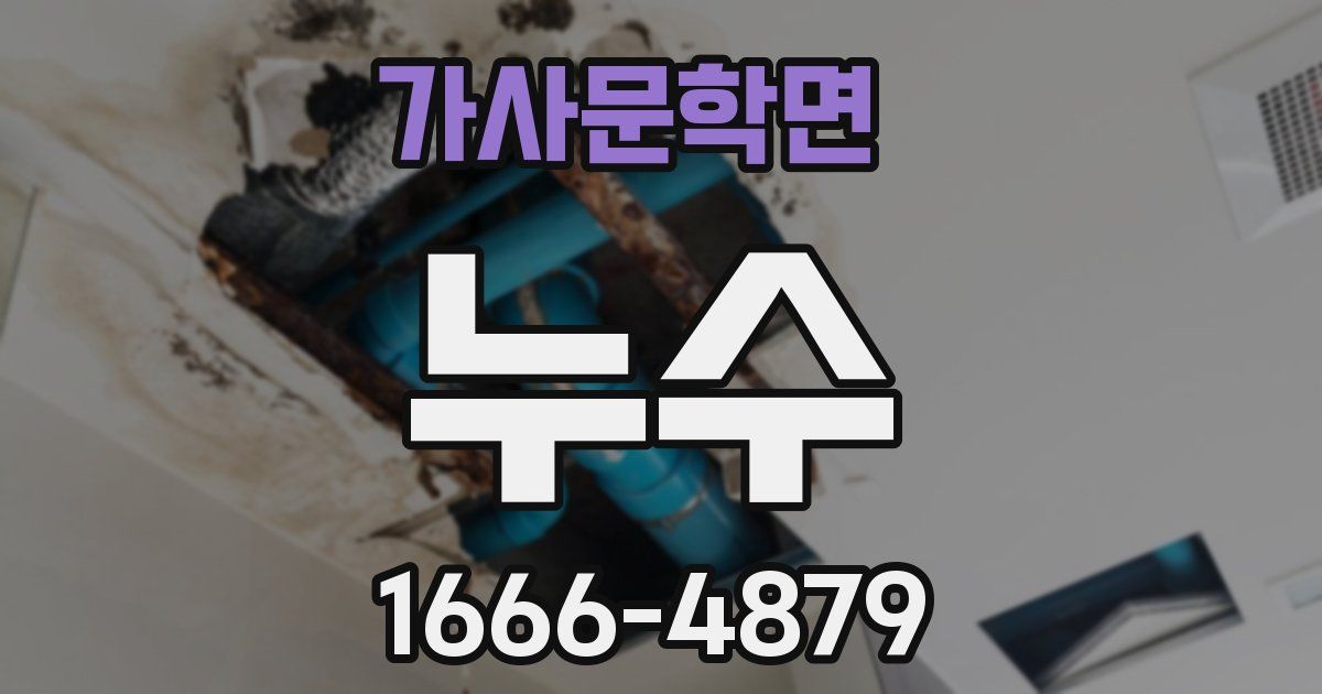 가사문학면 누수
