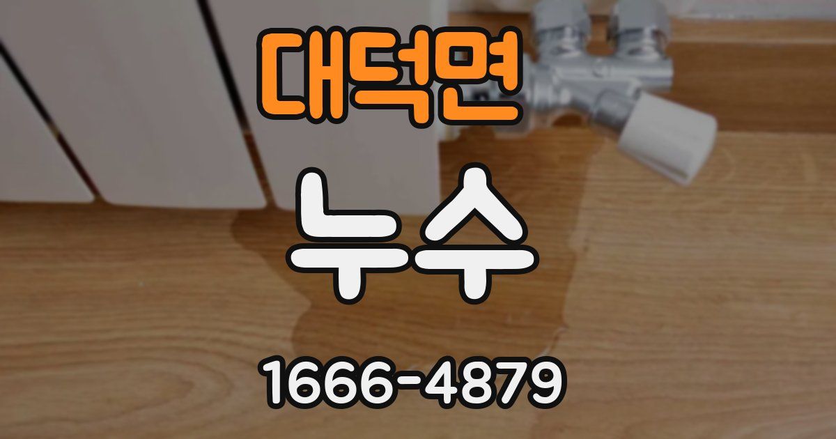 대덕면 누수