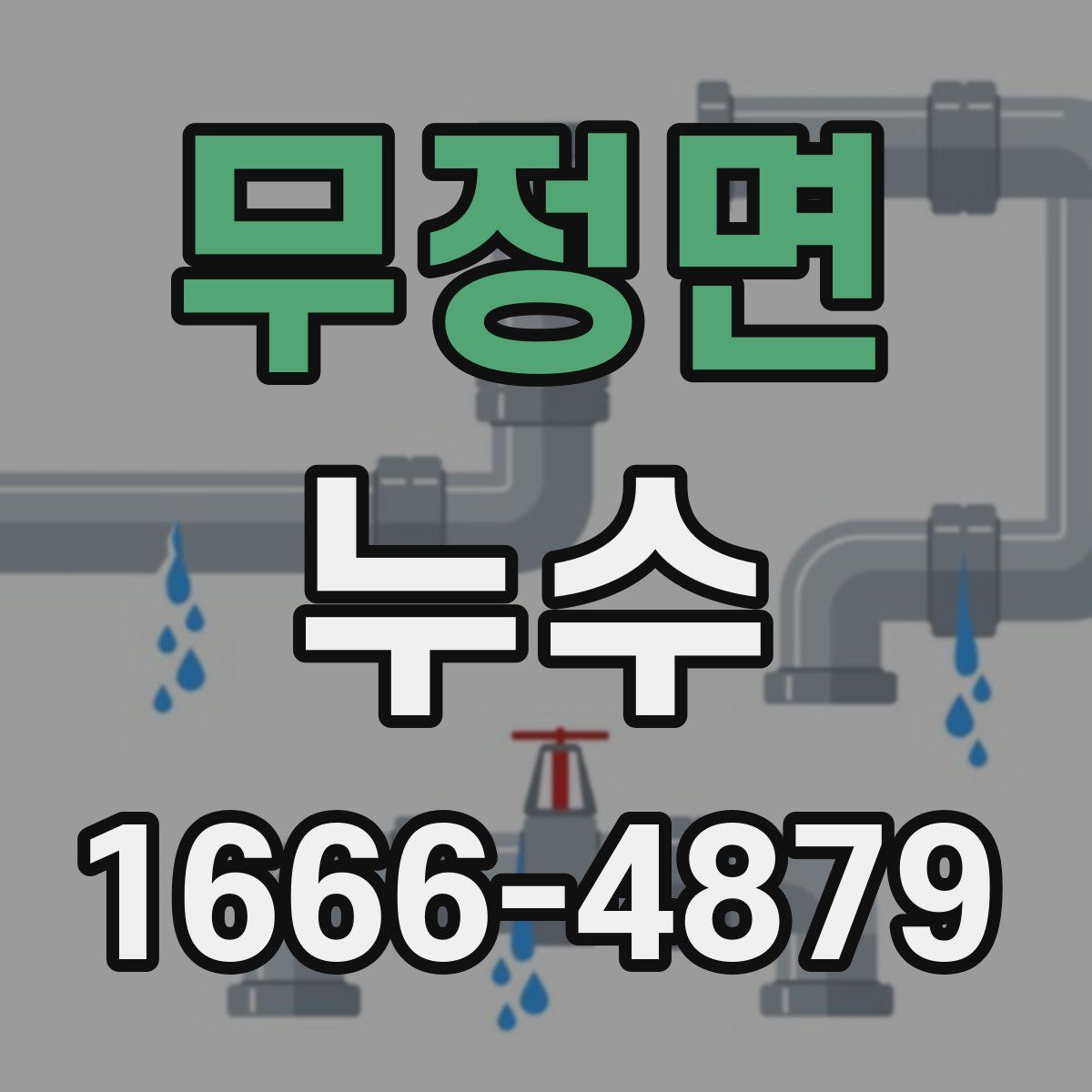 무정면 누수
