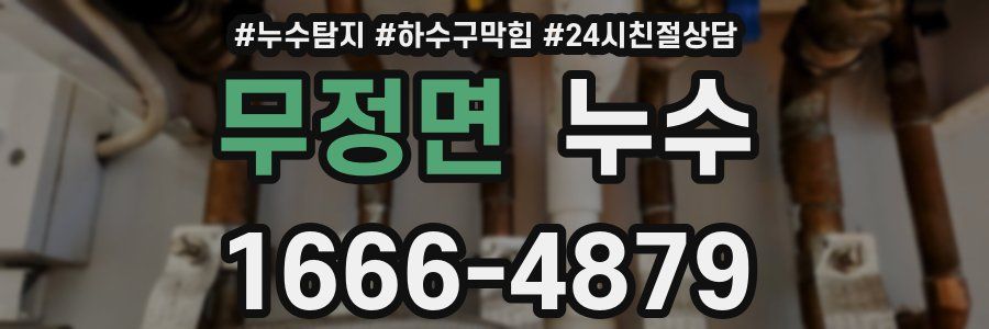 무정면 누수