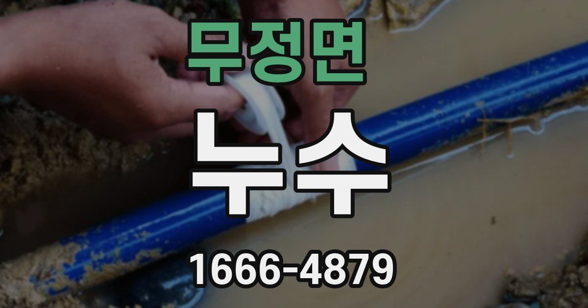 무정면 누수