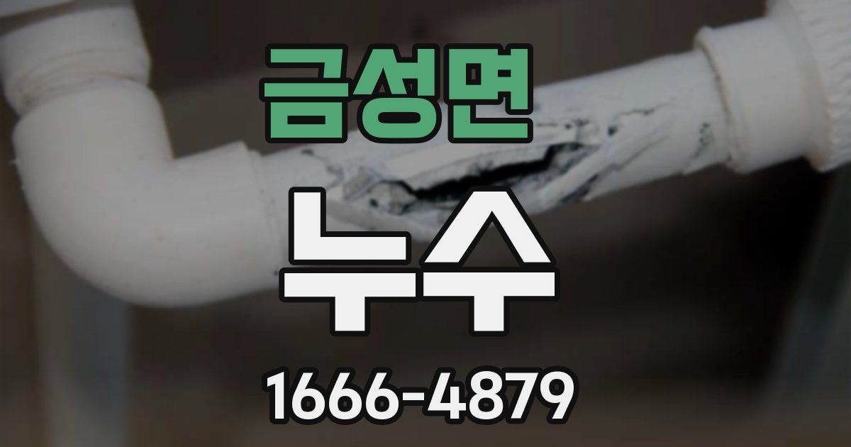 금성면 누수