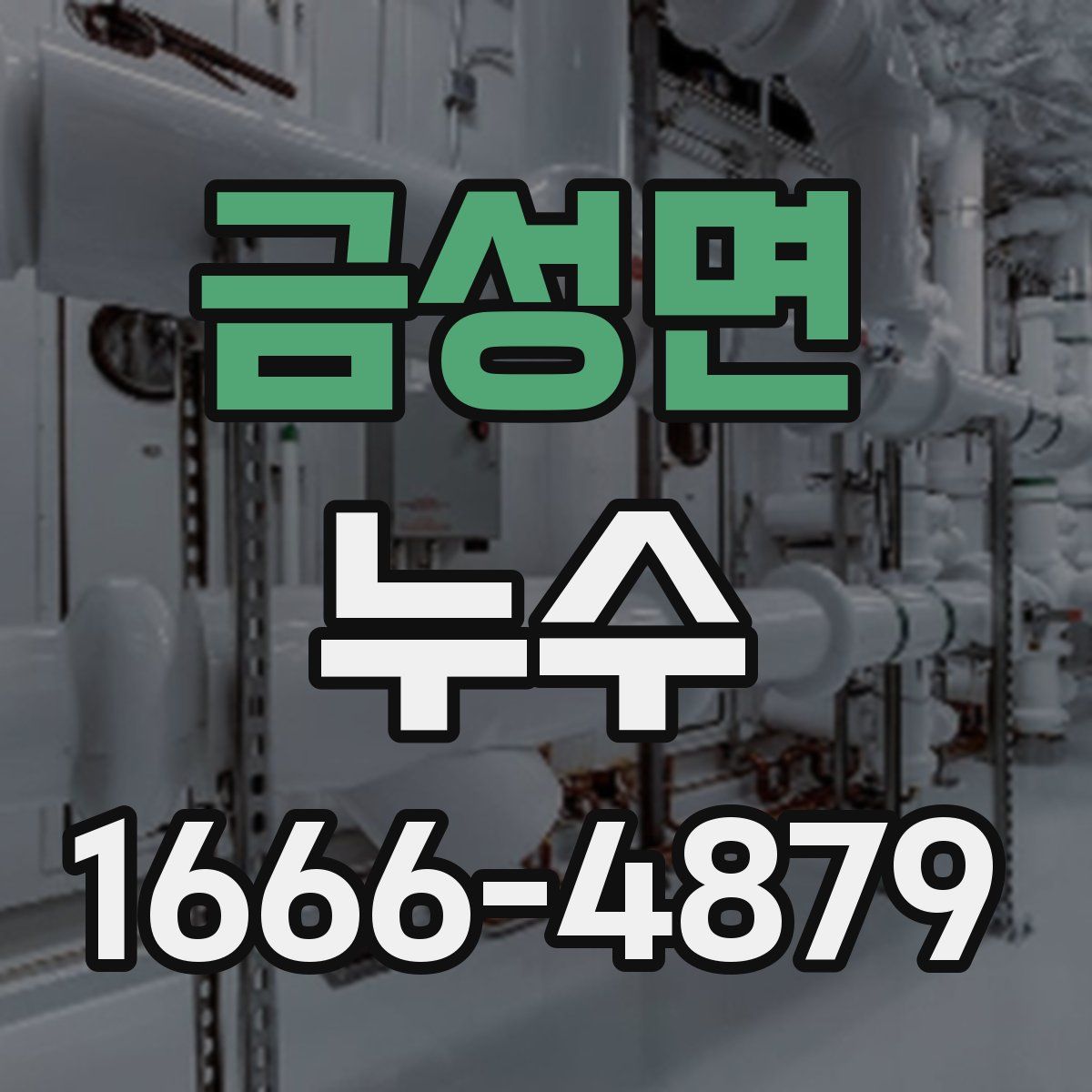 금성면 누수