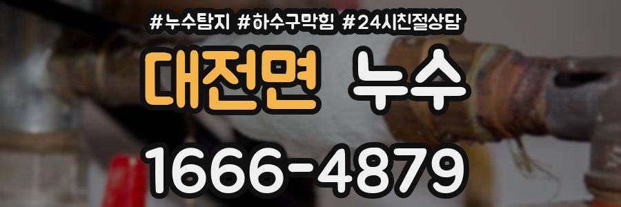 대전면 누수