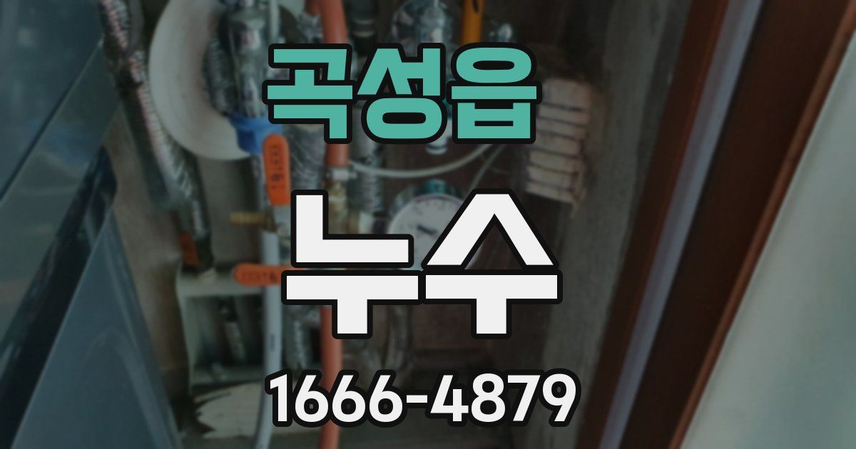 곡성읍 누수