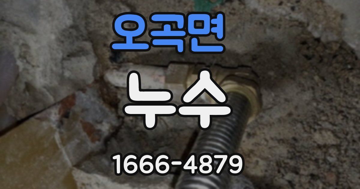 오곡면 누수