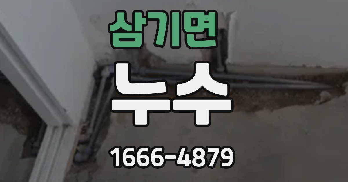 삼기면 누수