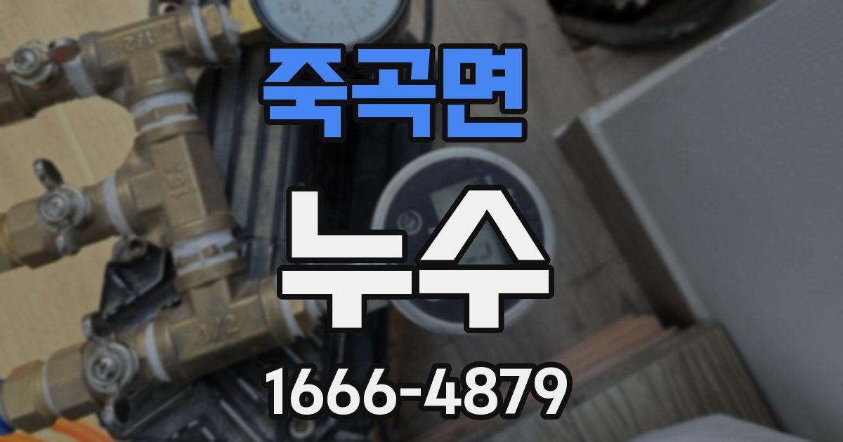 죽곡면 누수