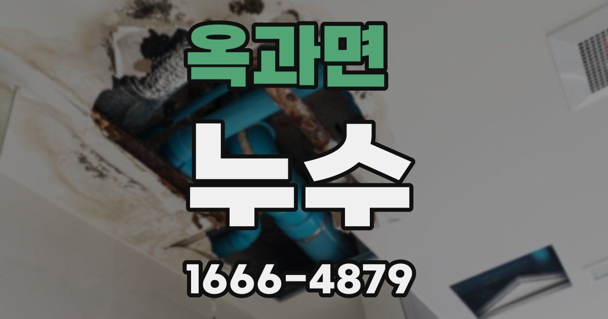 옥과면 누수