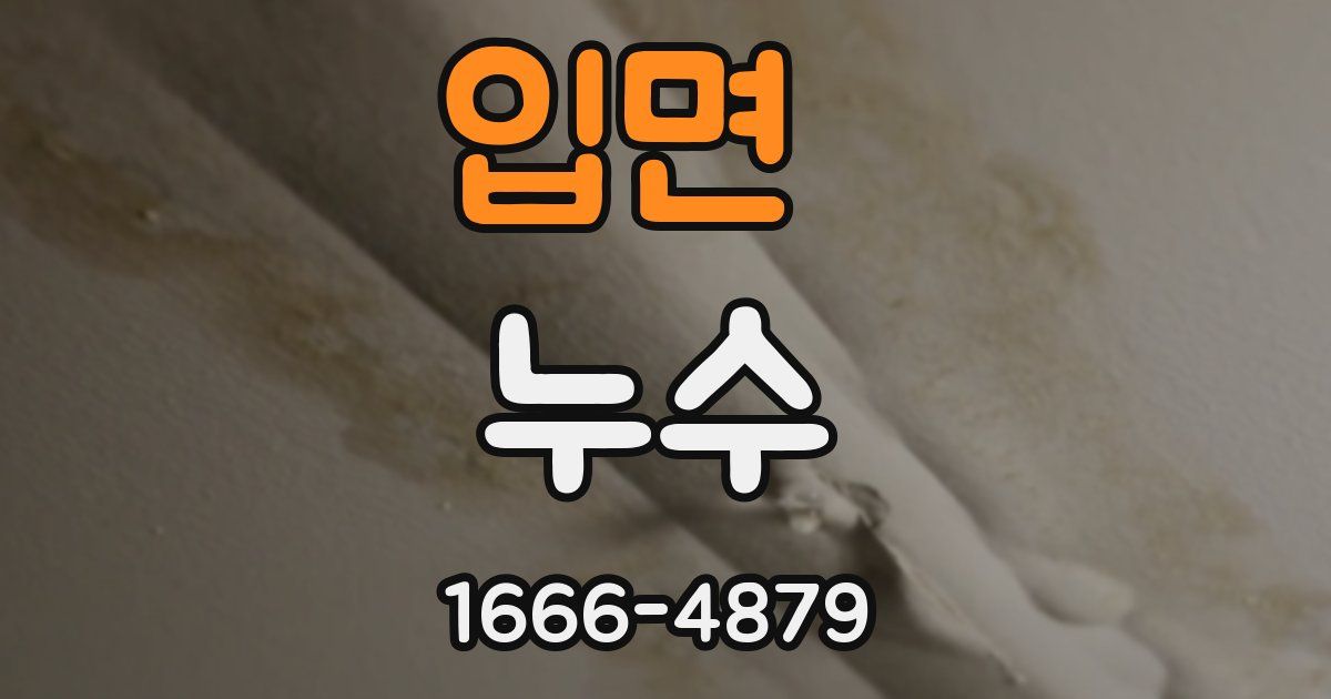 입면 누수