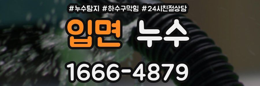 입면 누수