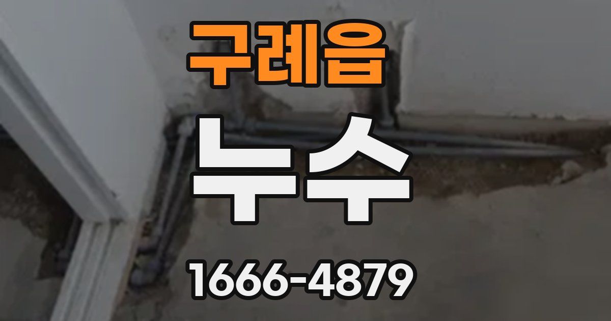 구례읍 누수