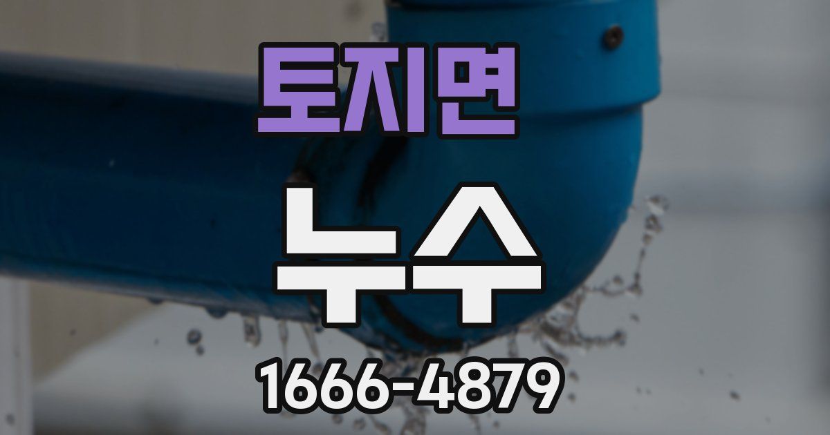 토지면 누수
