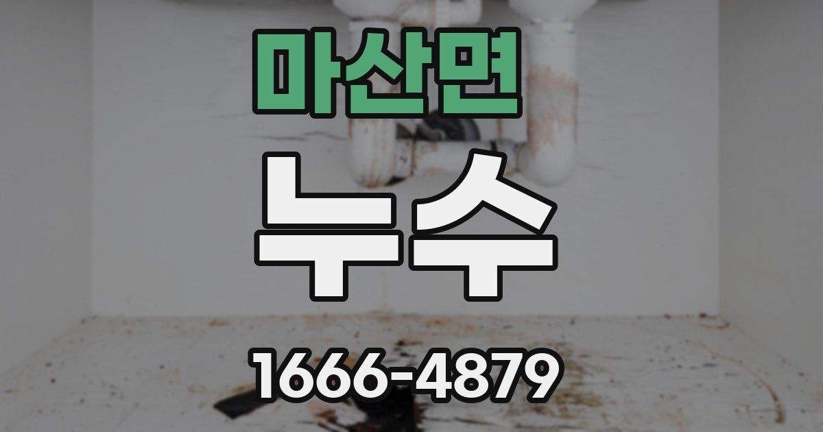 마산면 누수