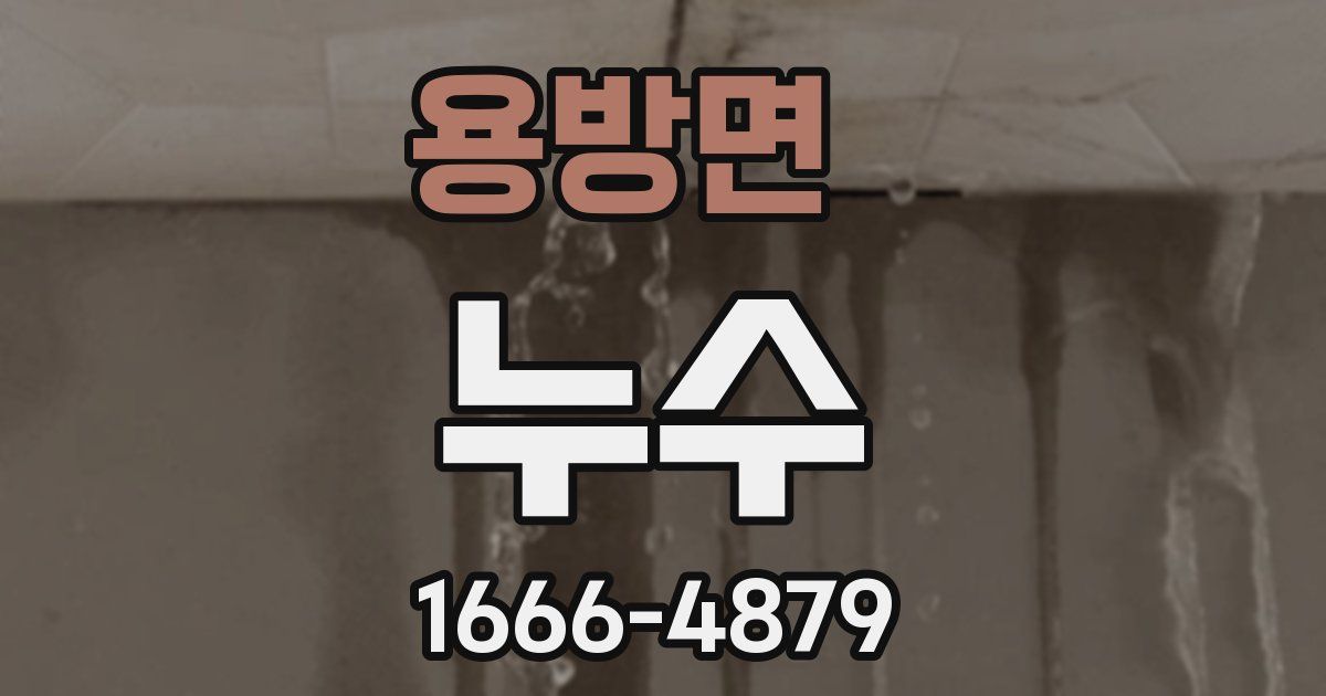 용방면 누수