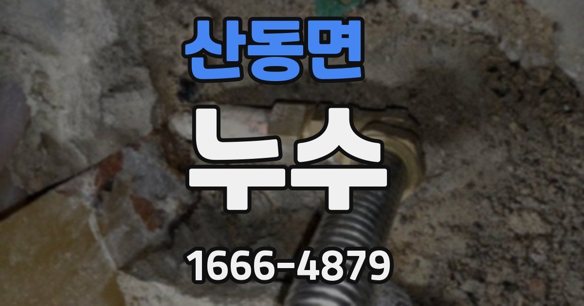 산동면 누수