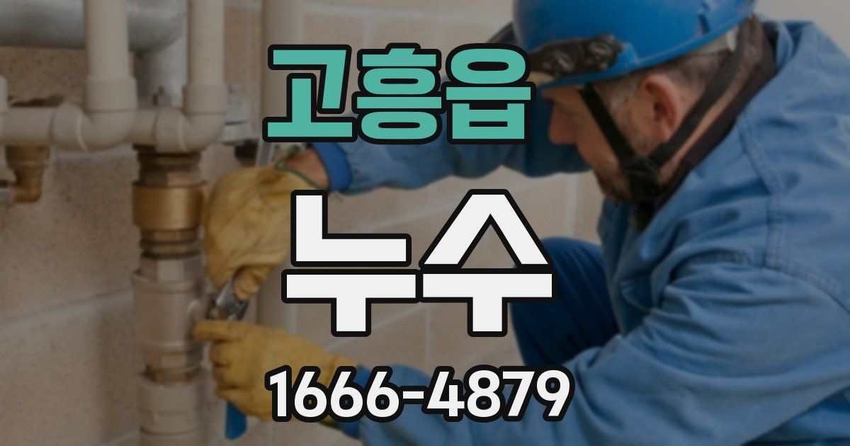 고흥읍 누수